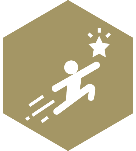 Icon of a person jumping and reaching for a star